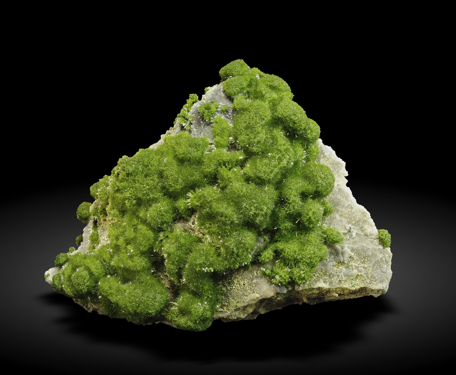 specimens/s_imagesAN5/Pyromorphite-JFD18AN5_0224_f.jpg