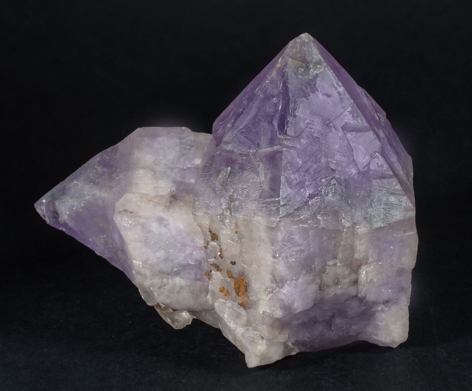 specimens/s_imagesAN5/Quartz_amethyst-JFD12AN5f.jpg