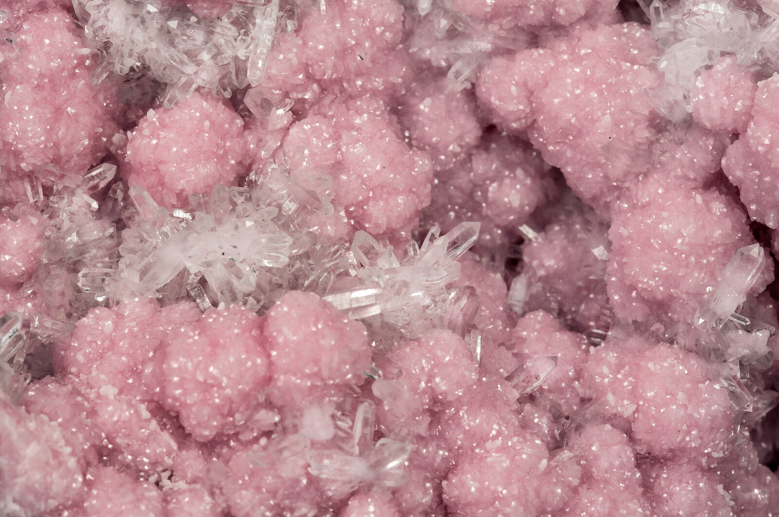 specimens/s_imagesAN5/Rhodochrosite-TFA47AN5d.jpg
