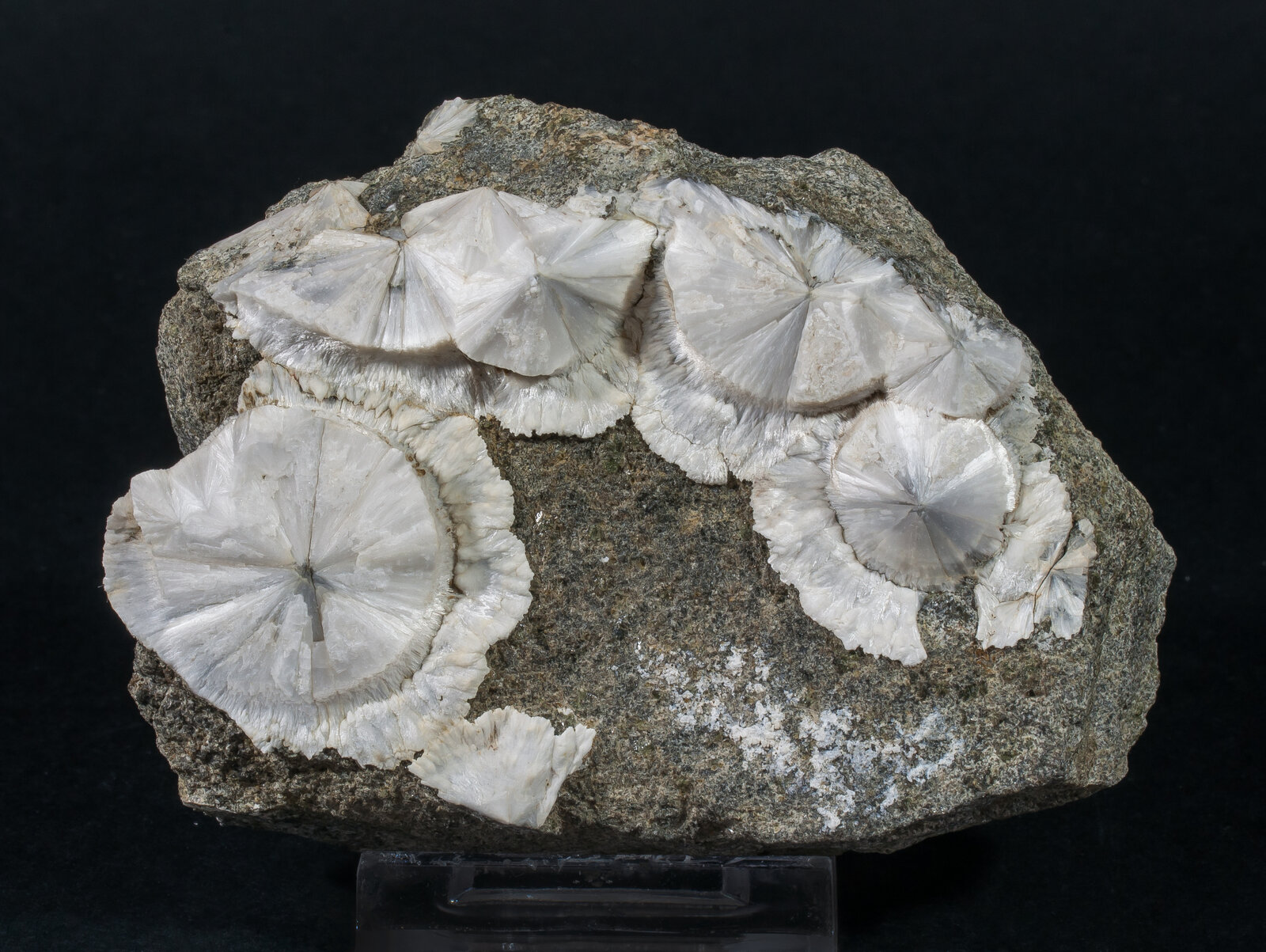 specimens/s_imagesAN5/Scolecite-JFD04AN5f.jpg