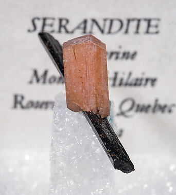 Serandite on Aegirine. 