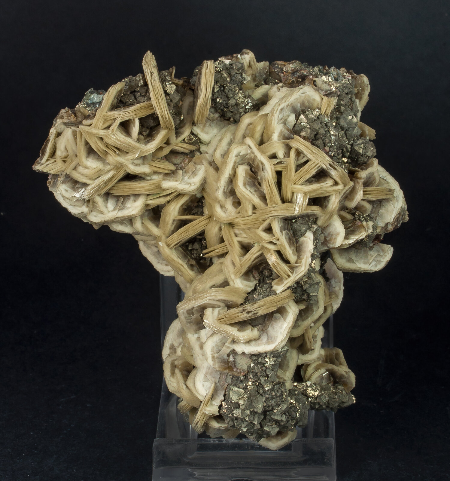 specimens/s_imagesAN5/Siderite-JFD15AN5f.jpg