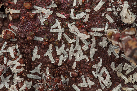 Willemite with Cerussite. 