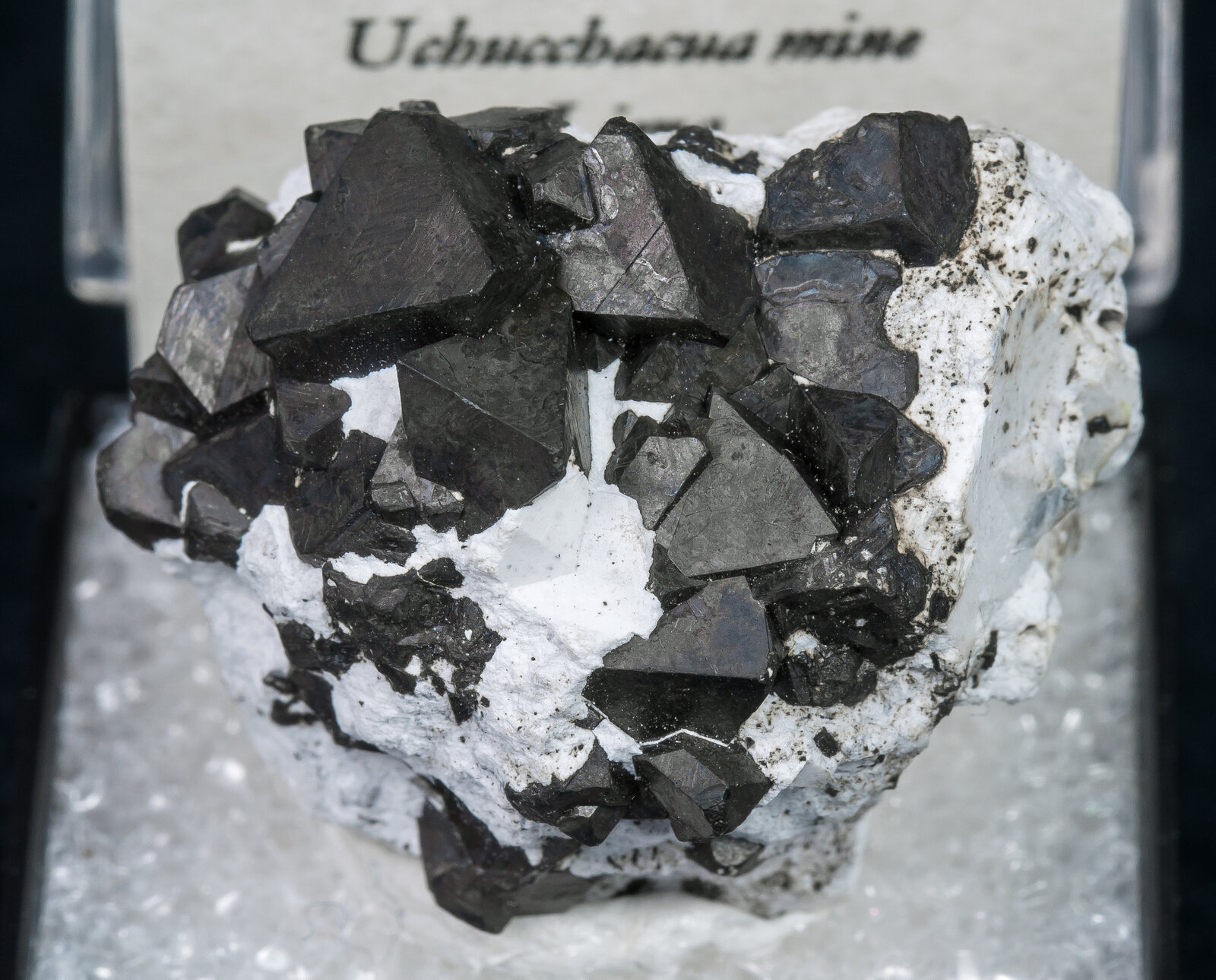specimens/s_imagesAN6/Alabandite-TAF56AN6f2.jpg