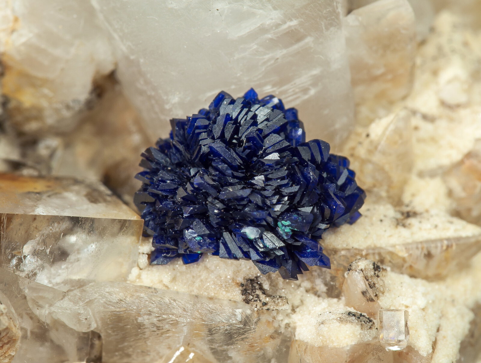 specimens/s_imagesAN6/Azurite-JFD22AN6d2.jpg