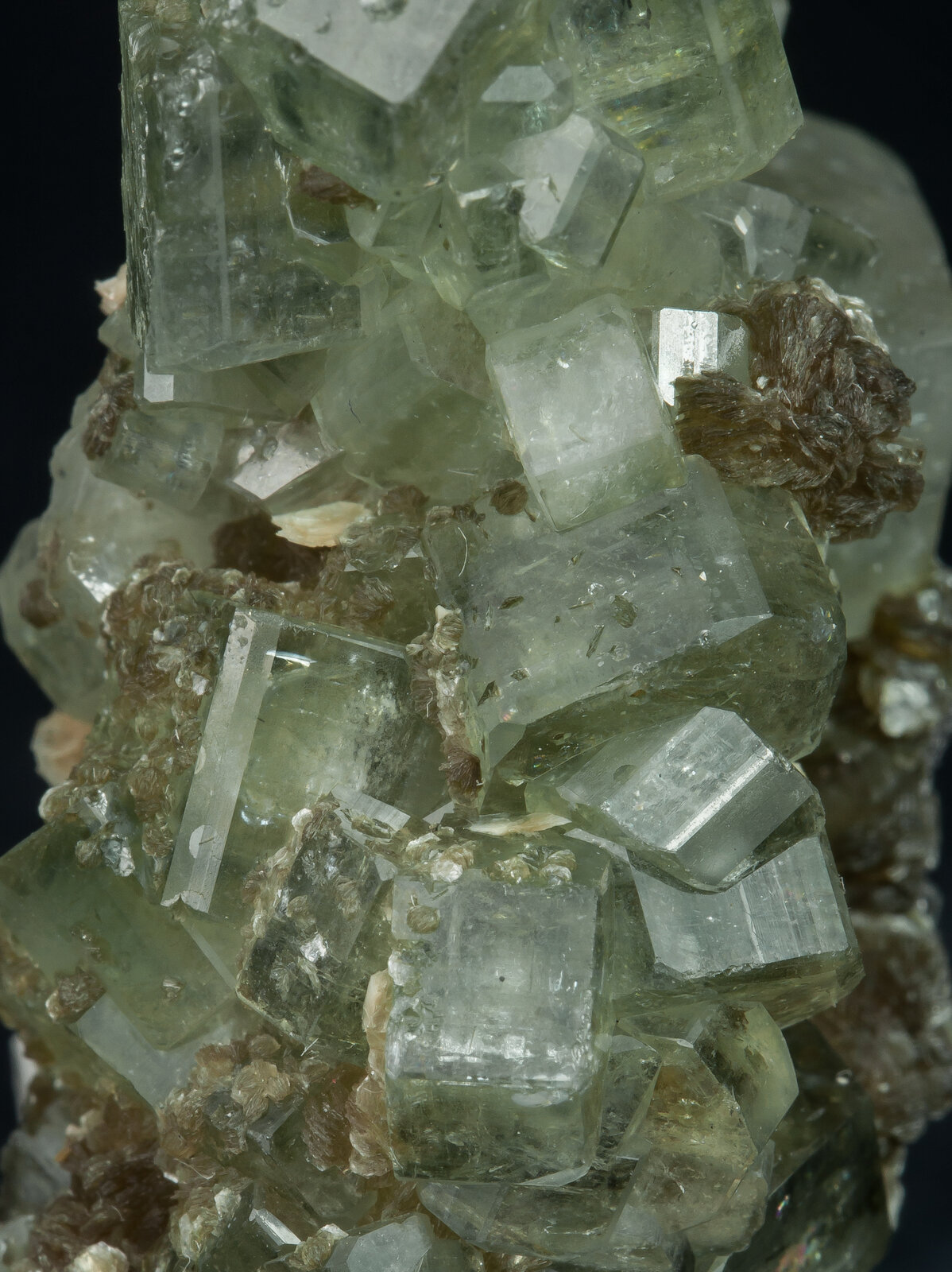 specimens/s_imagesAN6/Fluorapatite-TQF87AN6d1.jpg