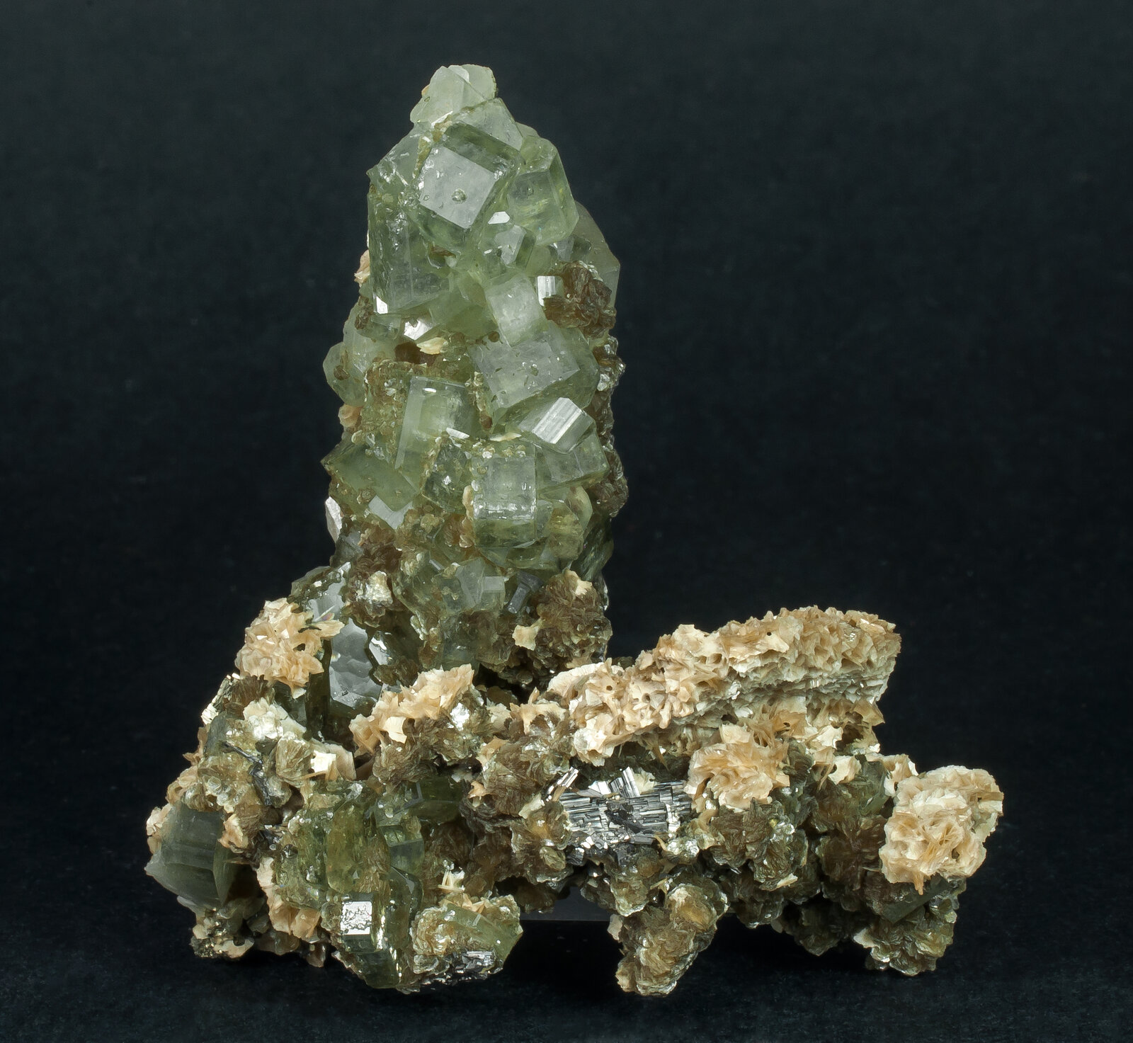 specimens/s_imagesAN6/Fluorapatite-TQF87AN6f.jpg