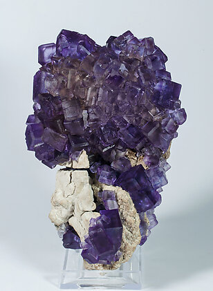 Fluorite. Rear with slight light behind