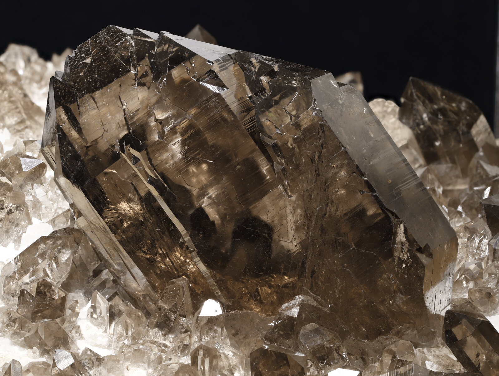 specimens/s_imagesAN6/Quartz-EFG99AN6_1577_d1.jpg