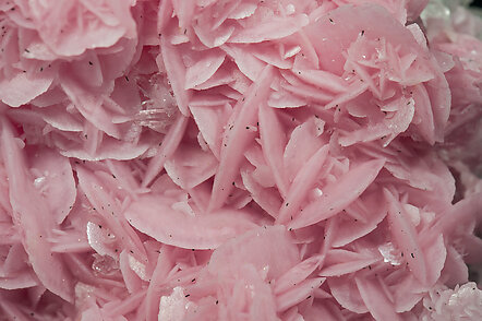 Rhodochrosite with Quartz. 