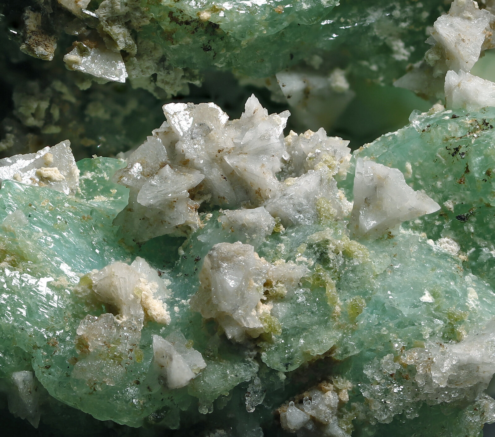 specimens/s_imagesAN7/Borcarite-TMR94AN7_0369_d2.jpg