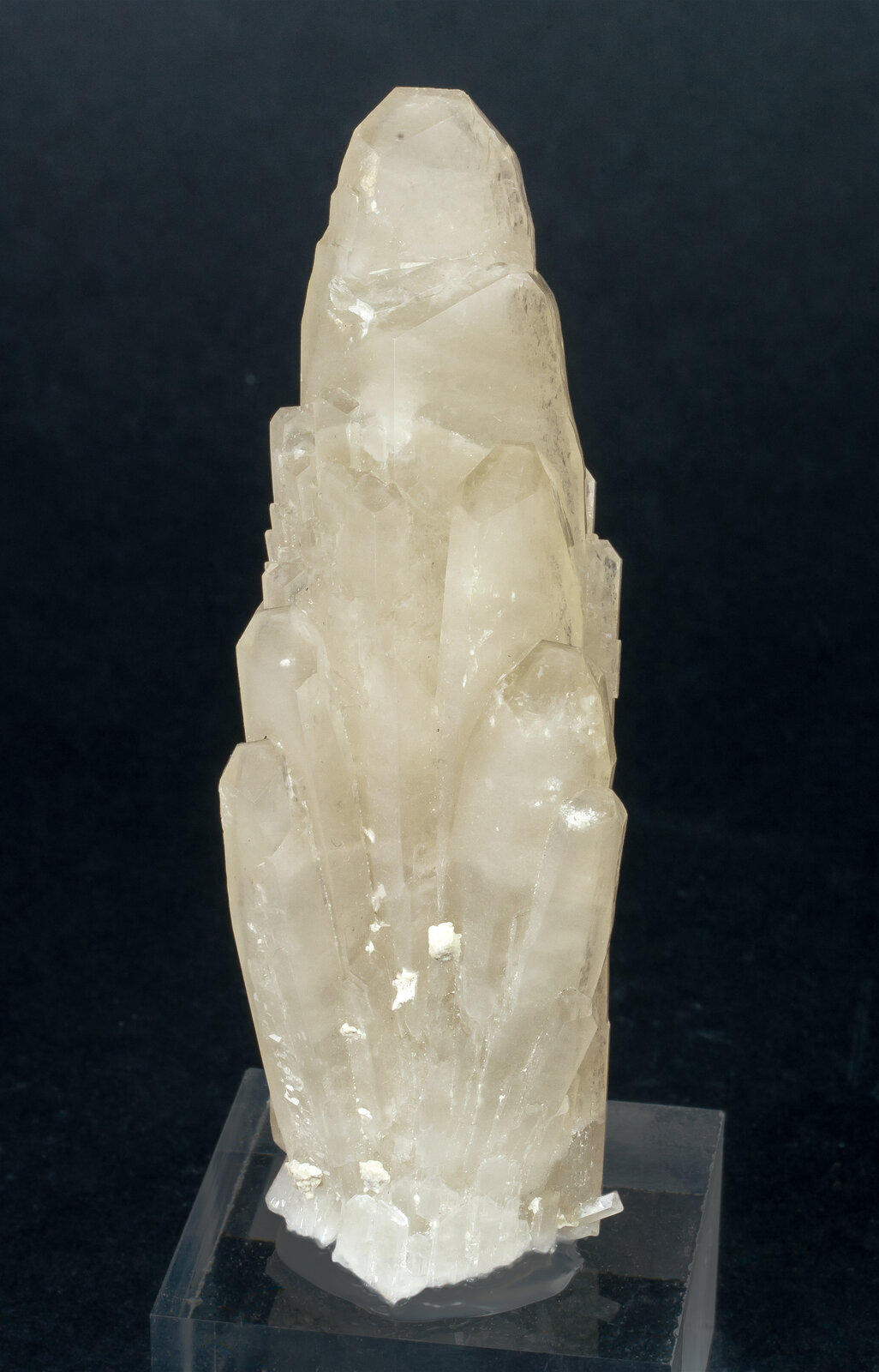 specimens/s_imagesAN7/Celestine-NBR14AN7f.jpg