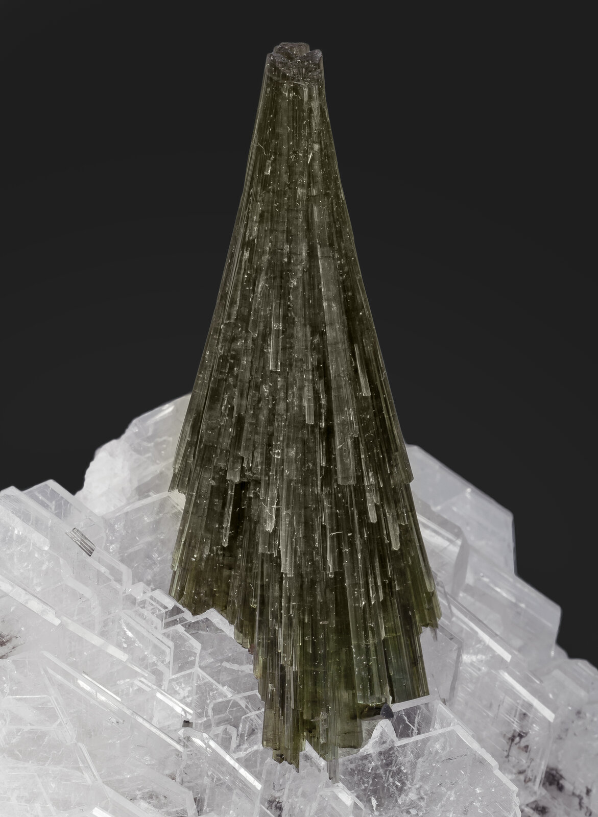 specimens/s_imagesAN7/Elbaite-ETB16AN7d.jpg