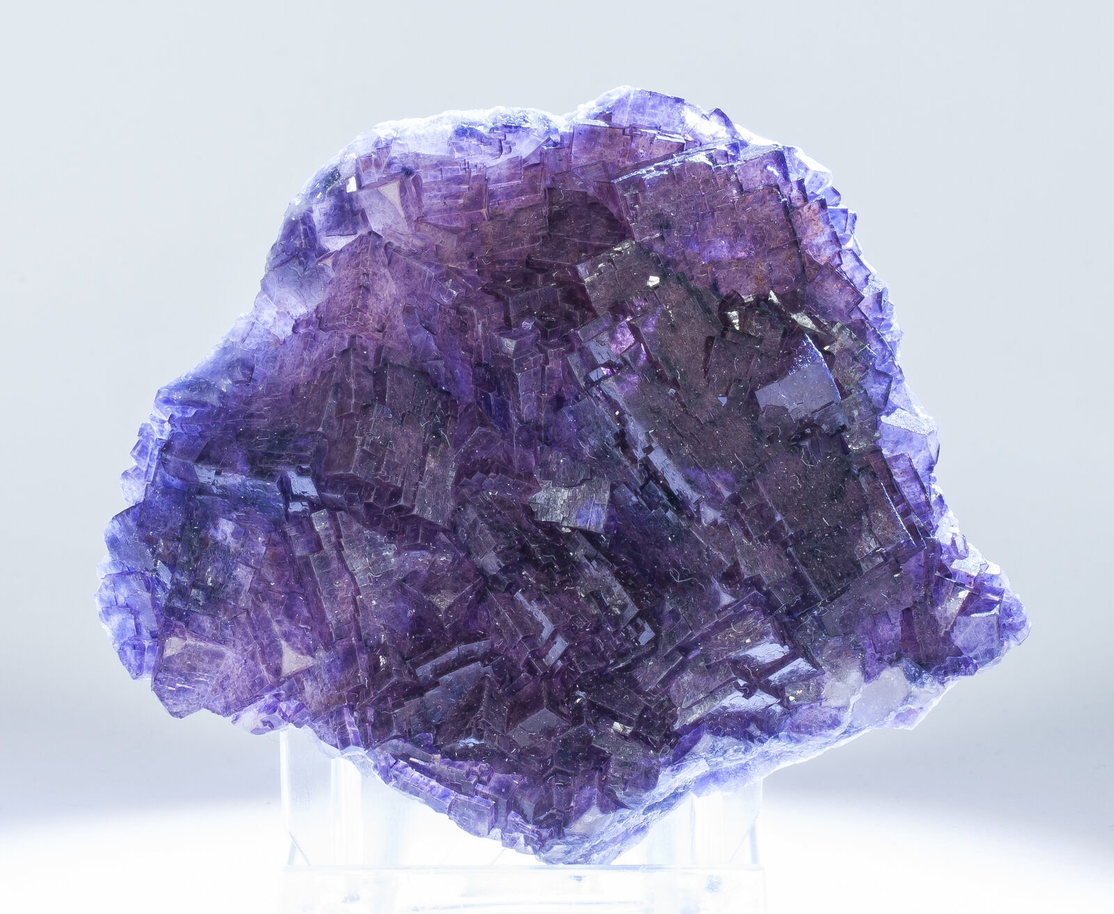 specimens/s_imagesAN7/Fluorite-EBH27AN7f2.jpg