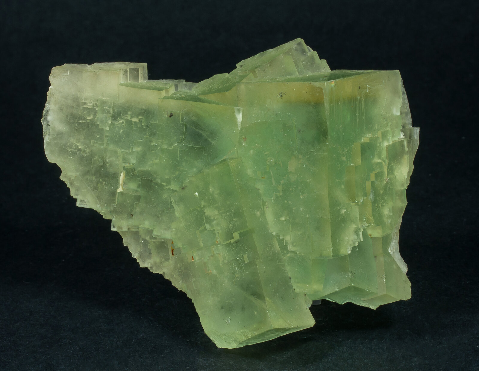 specimens/s_imagesAN7/Fluorite-ERT48AN7s1.jpg