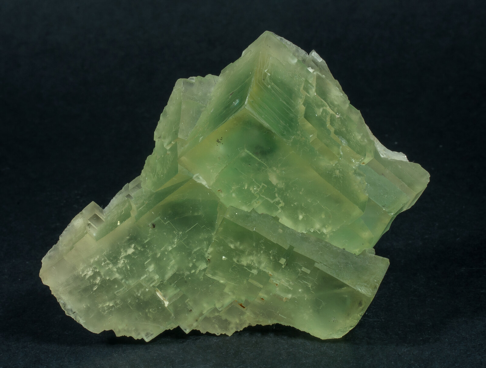 specimens/s_imagesAN7/Fluorite-ERT48AN7s2.jpg