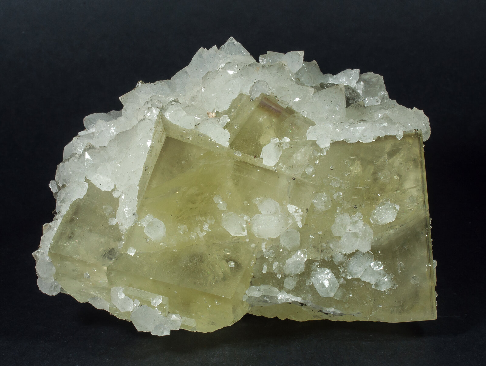 specimens/s_imagesAN7/Fluorite-NMA89AN7f.jpg