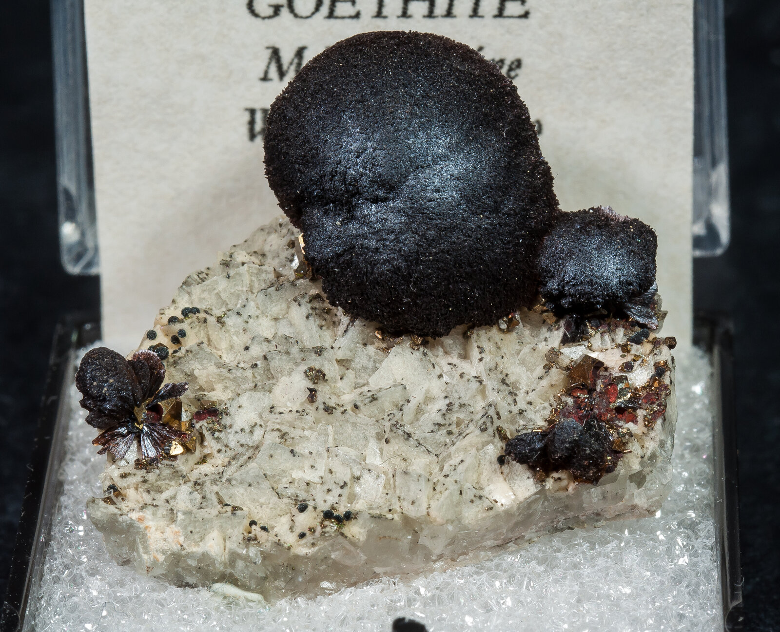 specimens/s_imagesAN7/Goethite-TTM13AN7f2.jpg