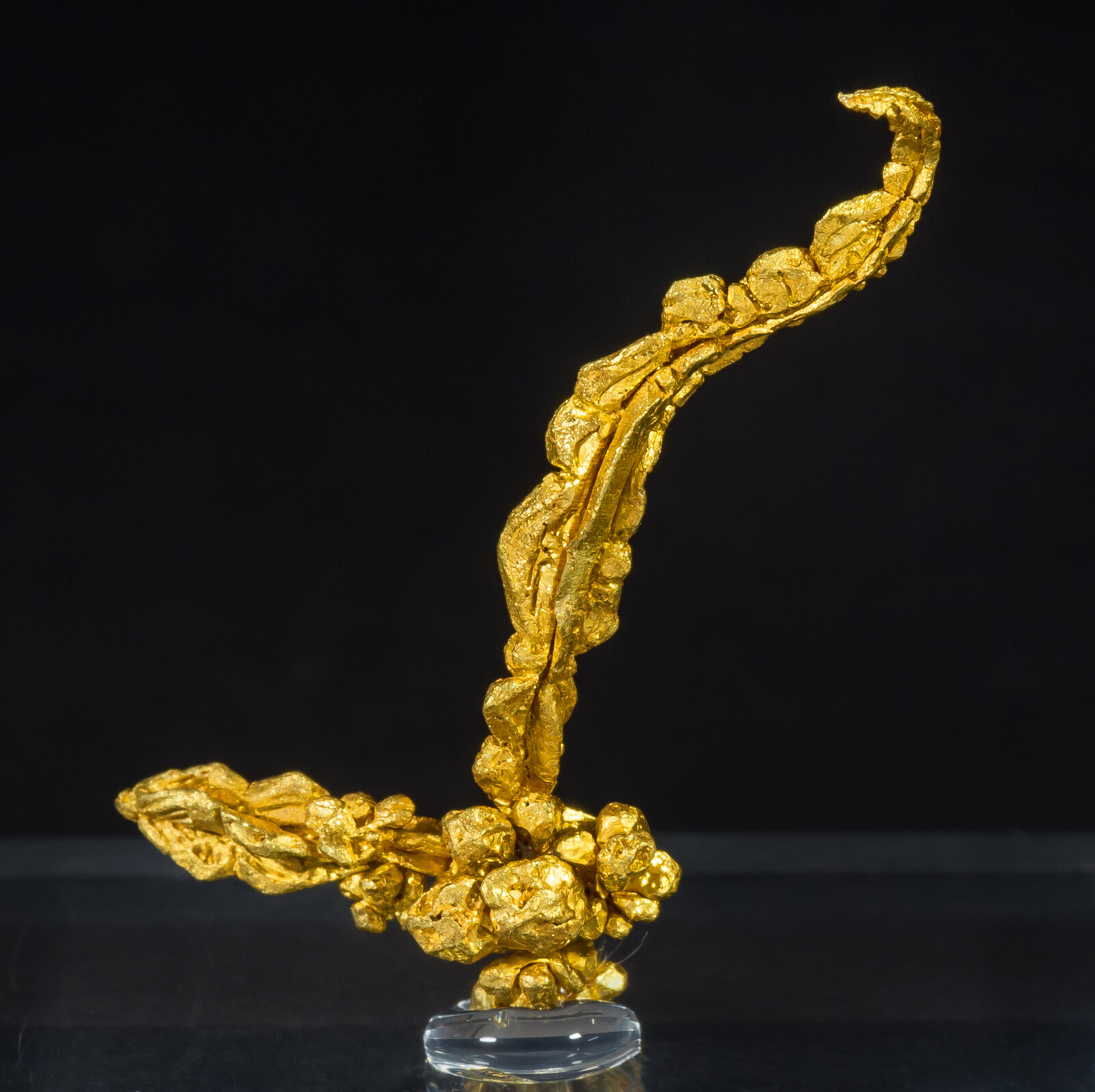 specimens/s_imagesAN7/Gold-EAM66AN7r.jpg