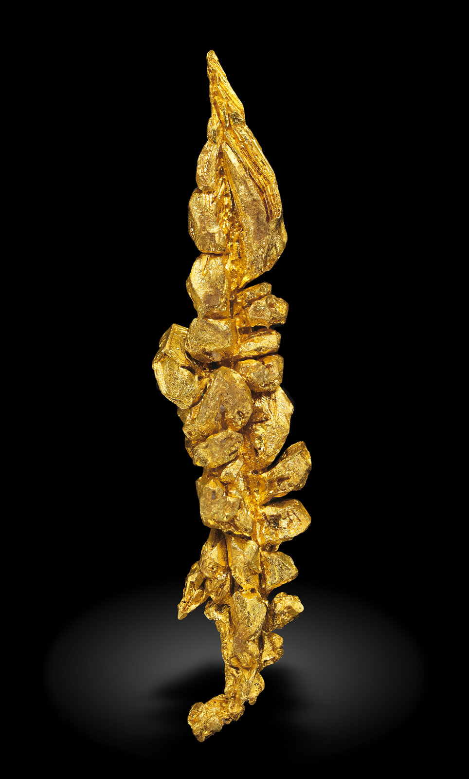 specimens/s_imagesAN7/Gold-EJT27AN7_0519_r.jpg