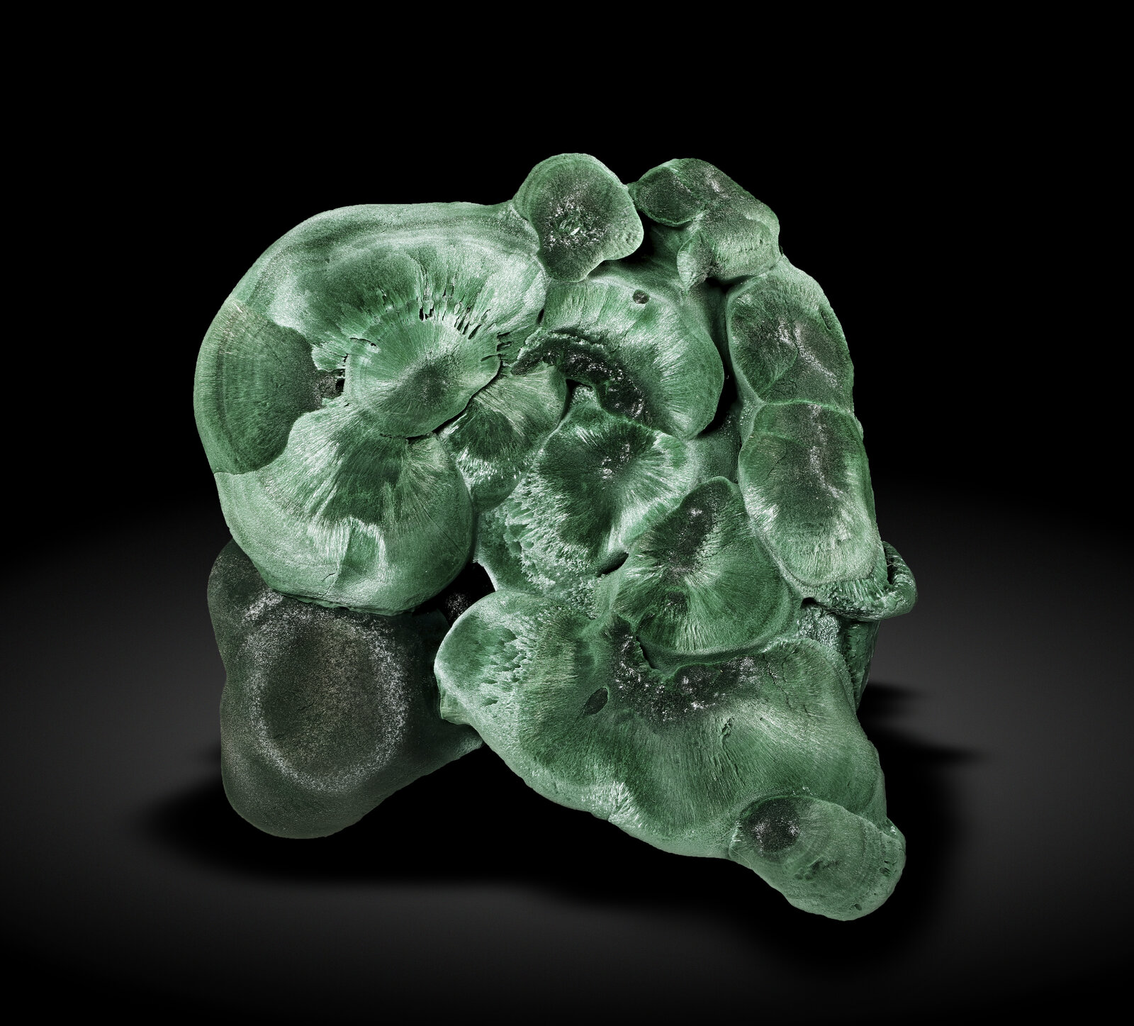 specimens/s_imagesAN7/Malachite-TRM66AN7_0118_r.jpg