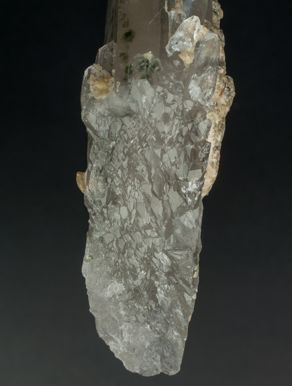 specimens/s_imagesAN7/Quartz-JFD38AN7b.jpg