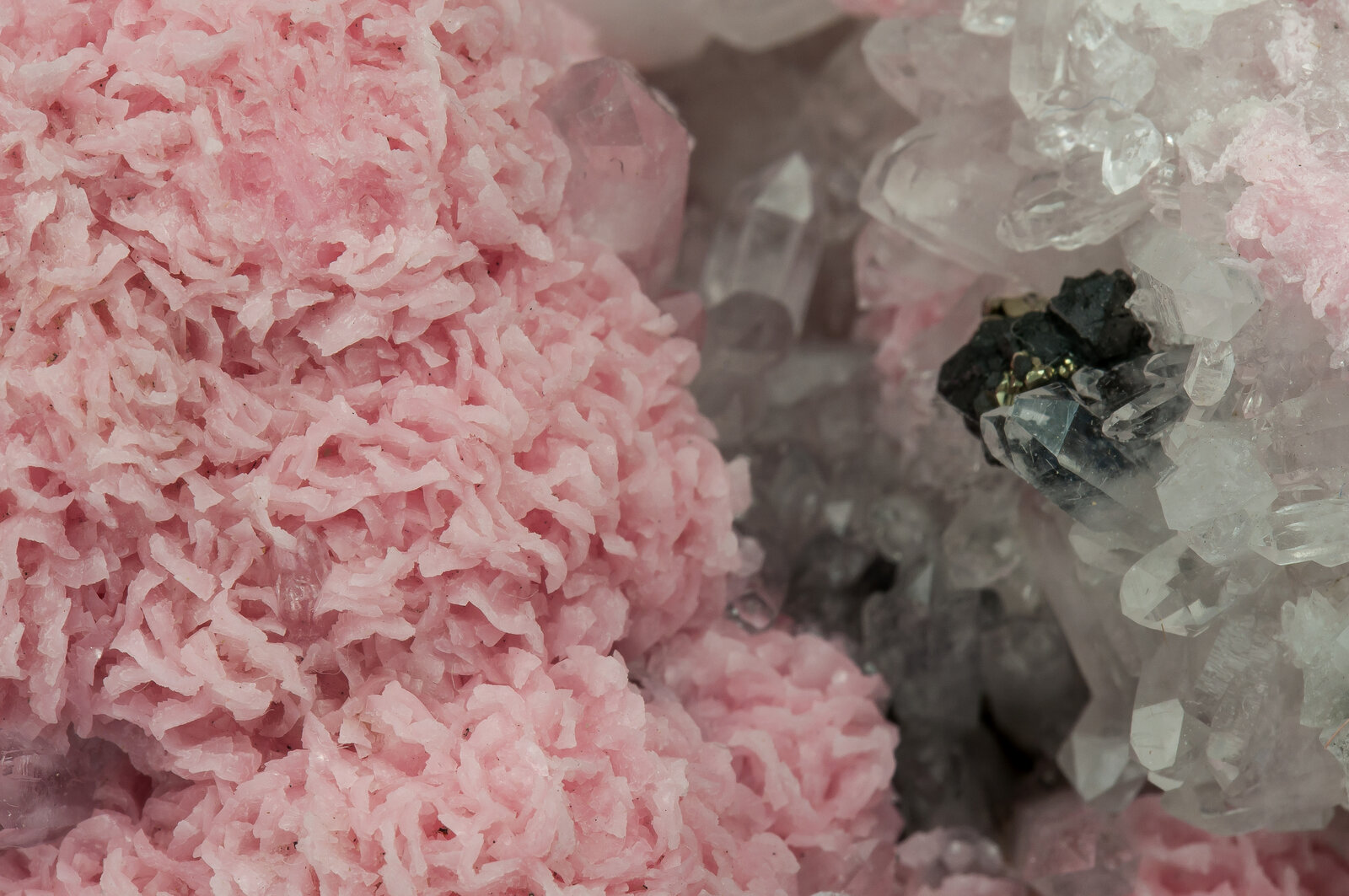 specimens/s_imagesAN7/Rhodochrosite-EFB27AN7d.jpg