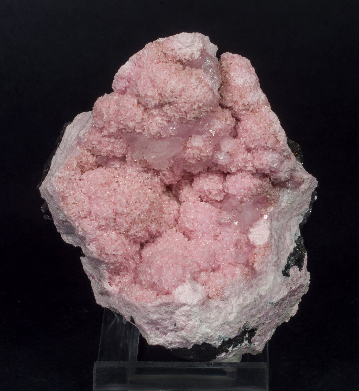 specimens/s_imagesAN7/Rhodochrosite-EMR86AN7f.jpg