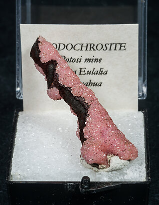 Rhodochrosite on Hisingerite. Front