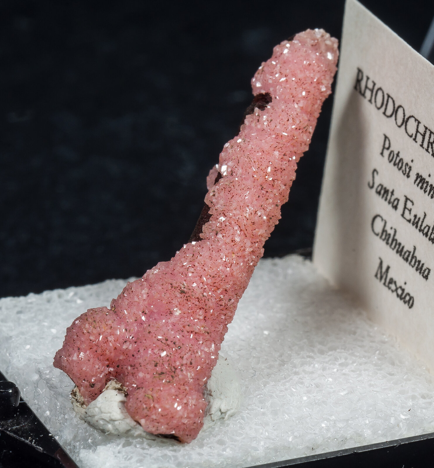 specimens/s_imagesAN7/Rhodochrosite-TXF14AN7s.jpg