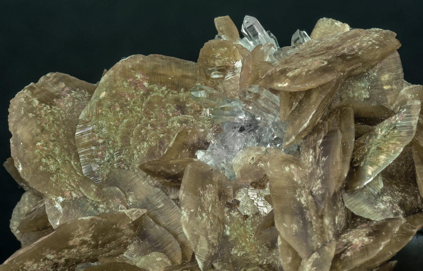 specimens/s_imagesAN7/Siderite-EJM27AN7d.jpg