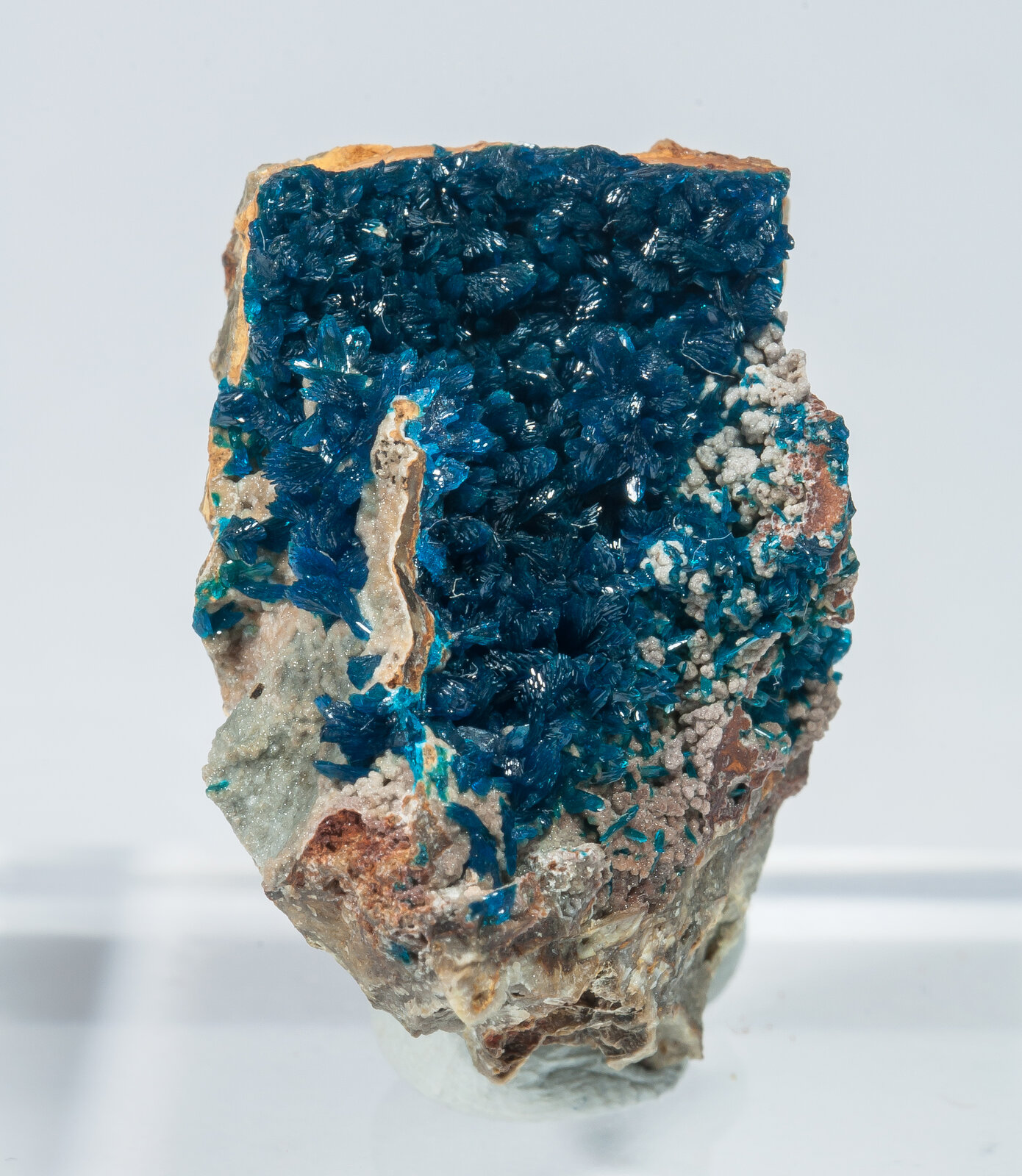 specimens/s_imagesAN7/Veszelyite-TMB98AN7f.jpg