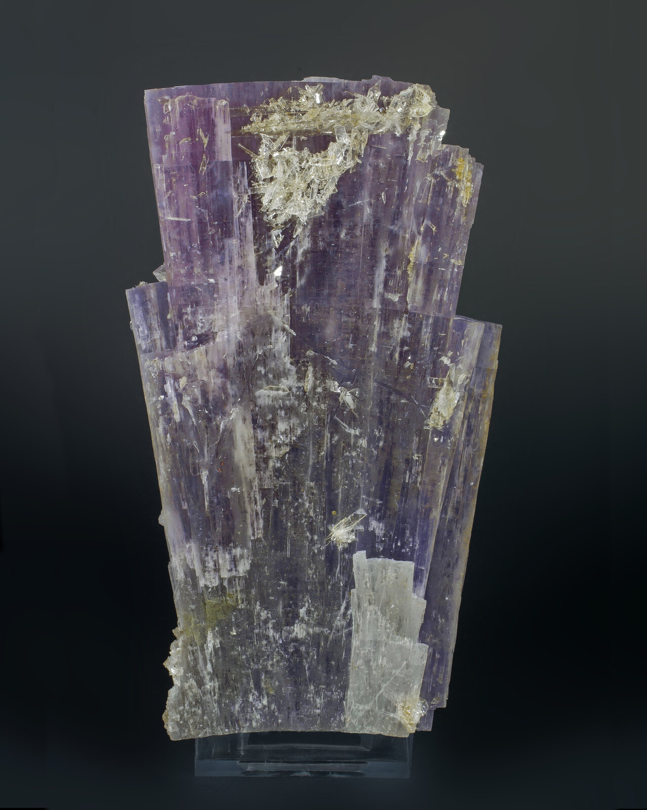 specimens/s_imagesAN8/Anhydrite-MTA91AN8f.jpg
