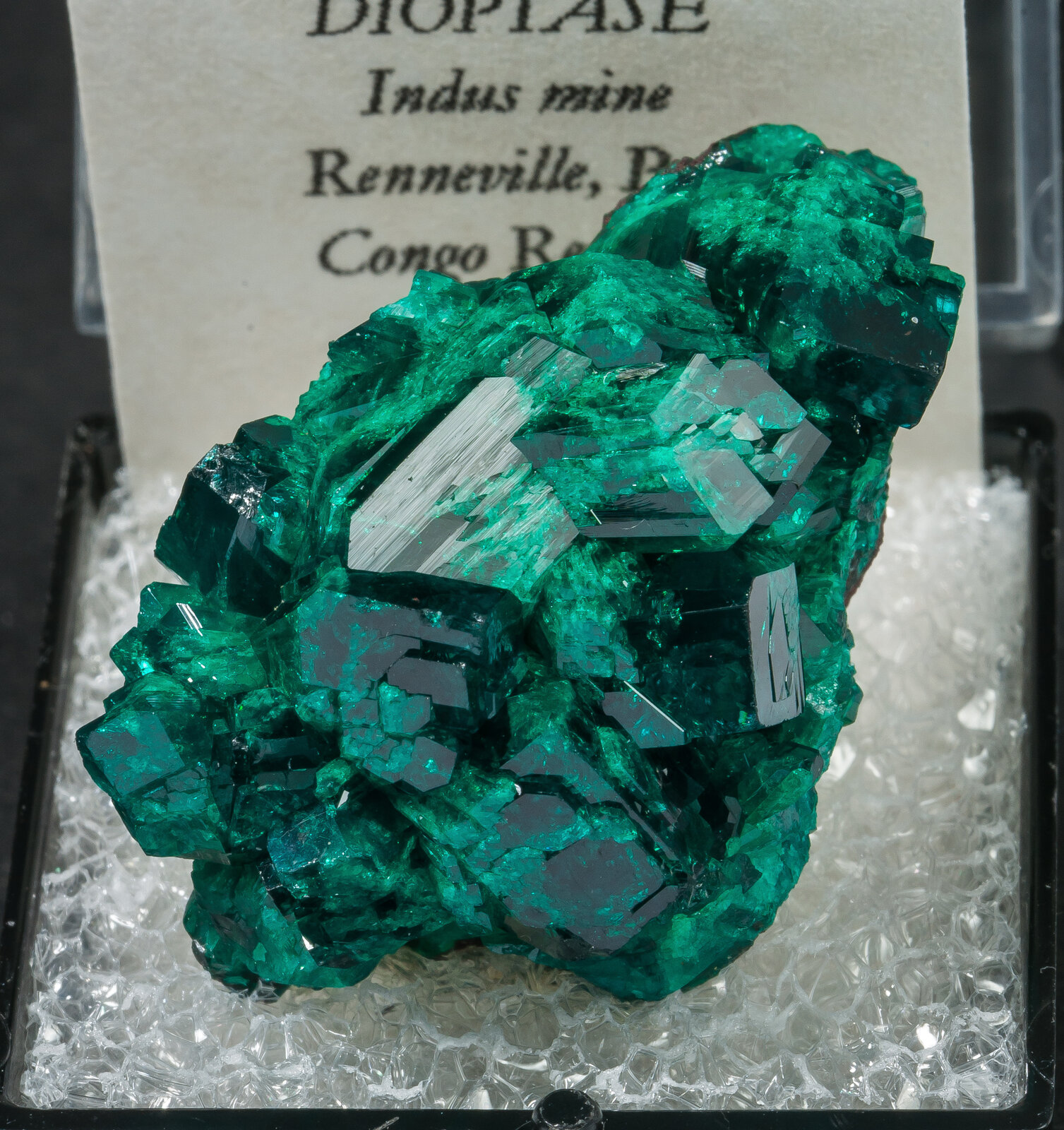 specimens/s_imagesAN8/Dioptase-TTB46AN8f2.jpg