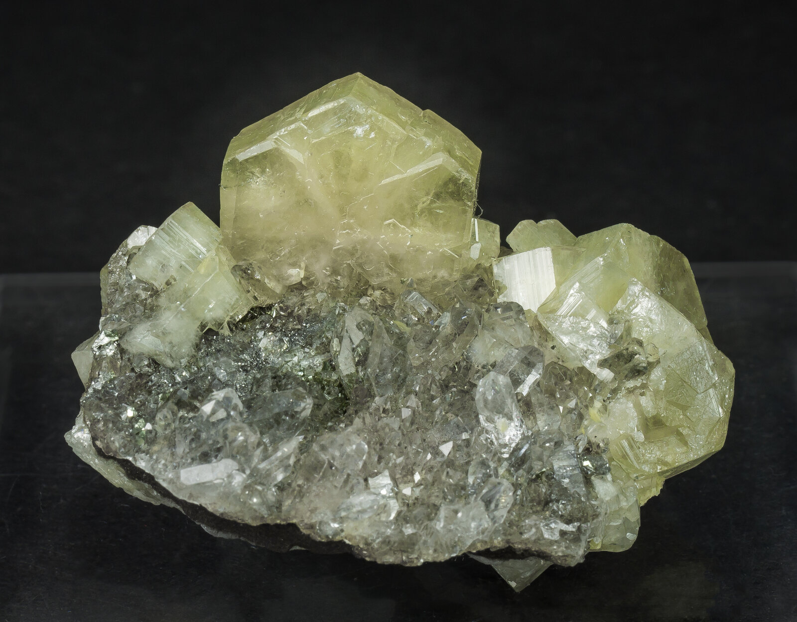 specimens/s_imagesAN8/Fluorapatite-JFD49AN8f.jpg