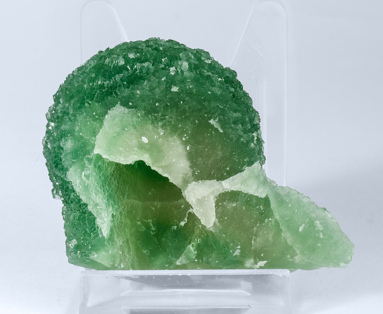 specimens/s_imagesAN8/Fluorite-EDL99AN8r.jpg