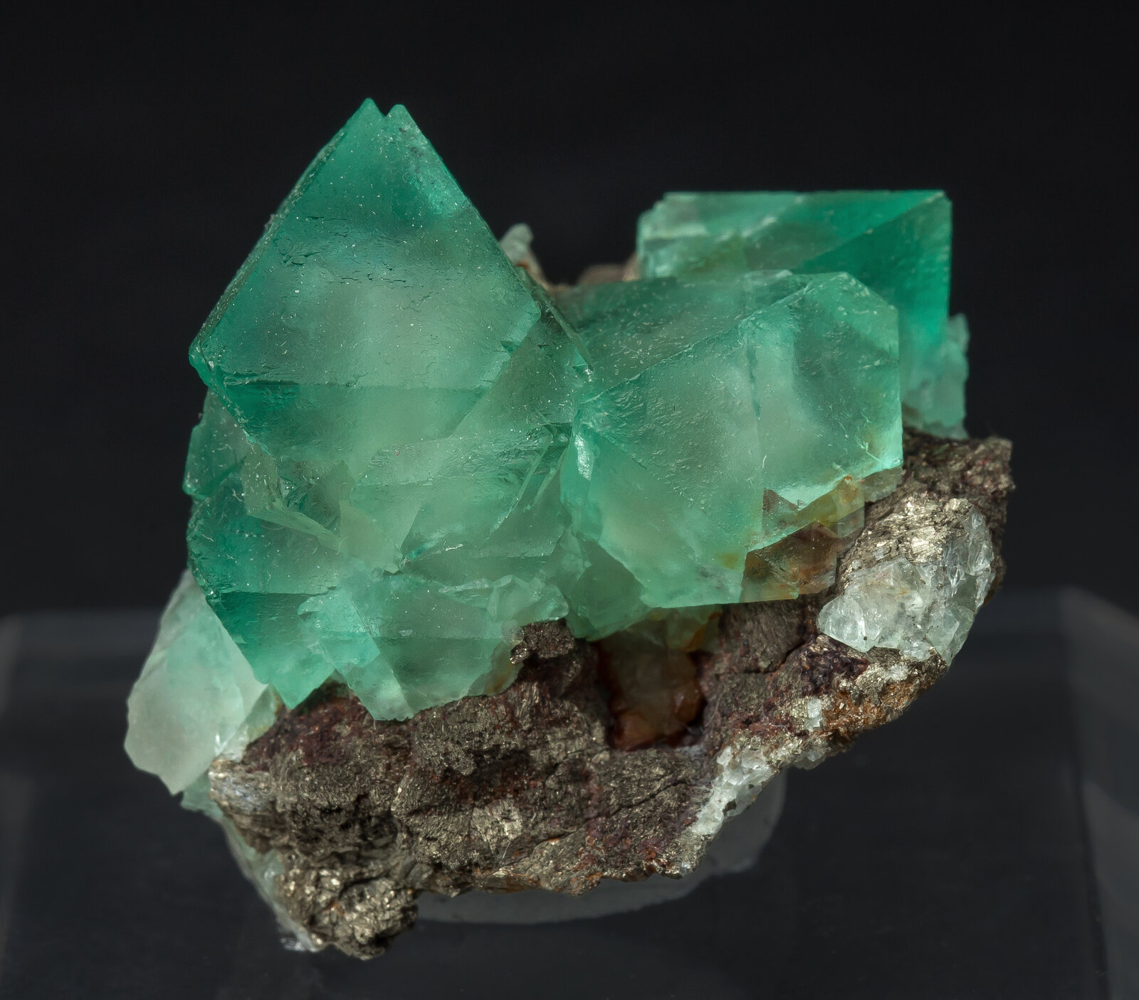 specimens/s_imagesAN8/Fluorite-JFD44AN8f.jpg