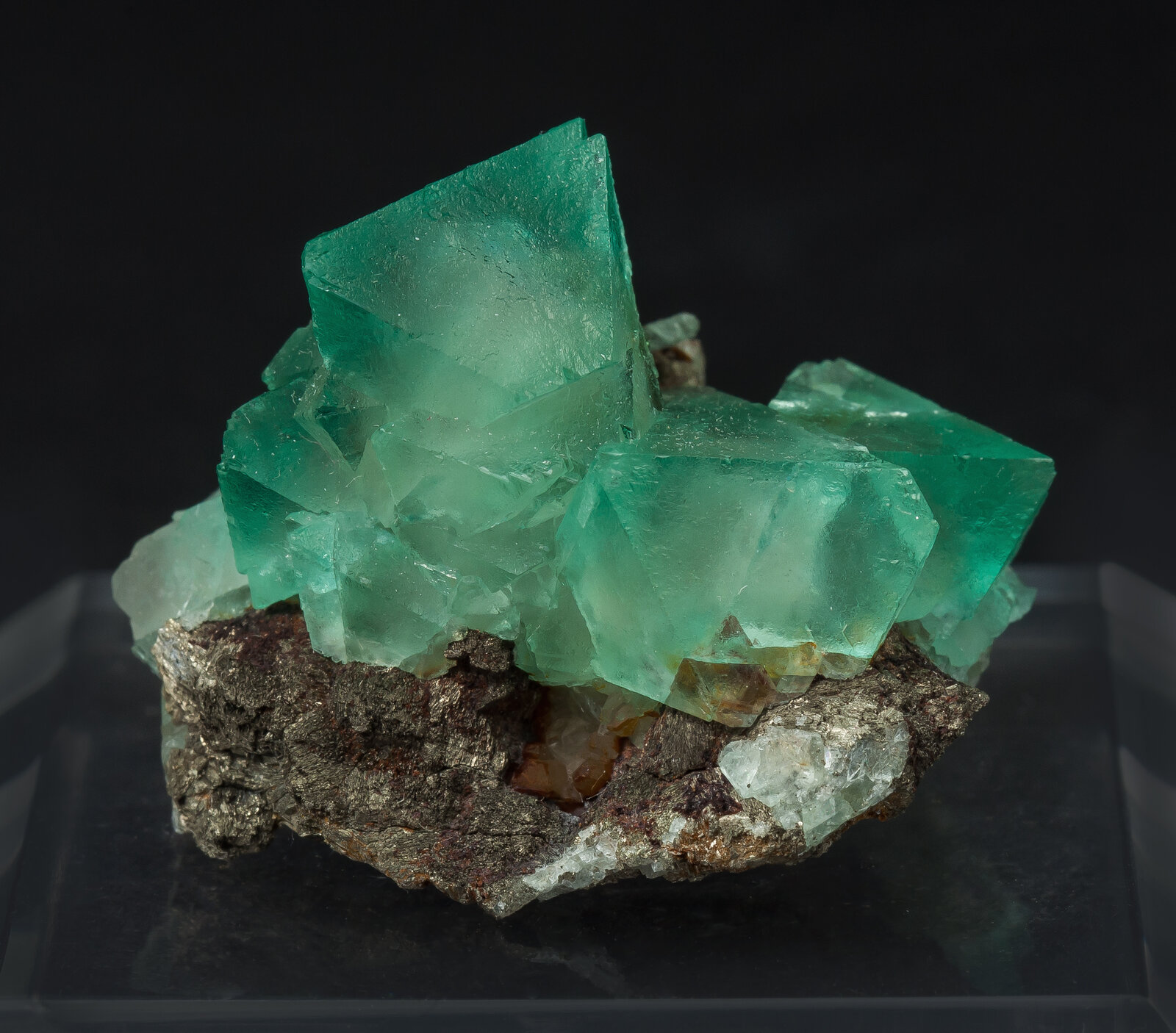 specimens/s_imagesAN8/Fluorite-JFD44AN8s.jpg