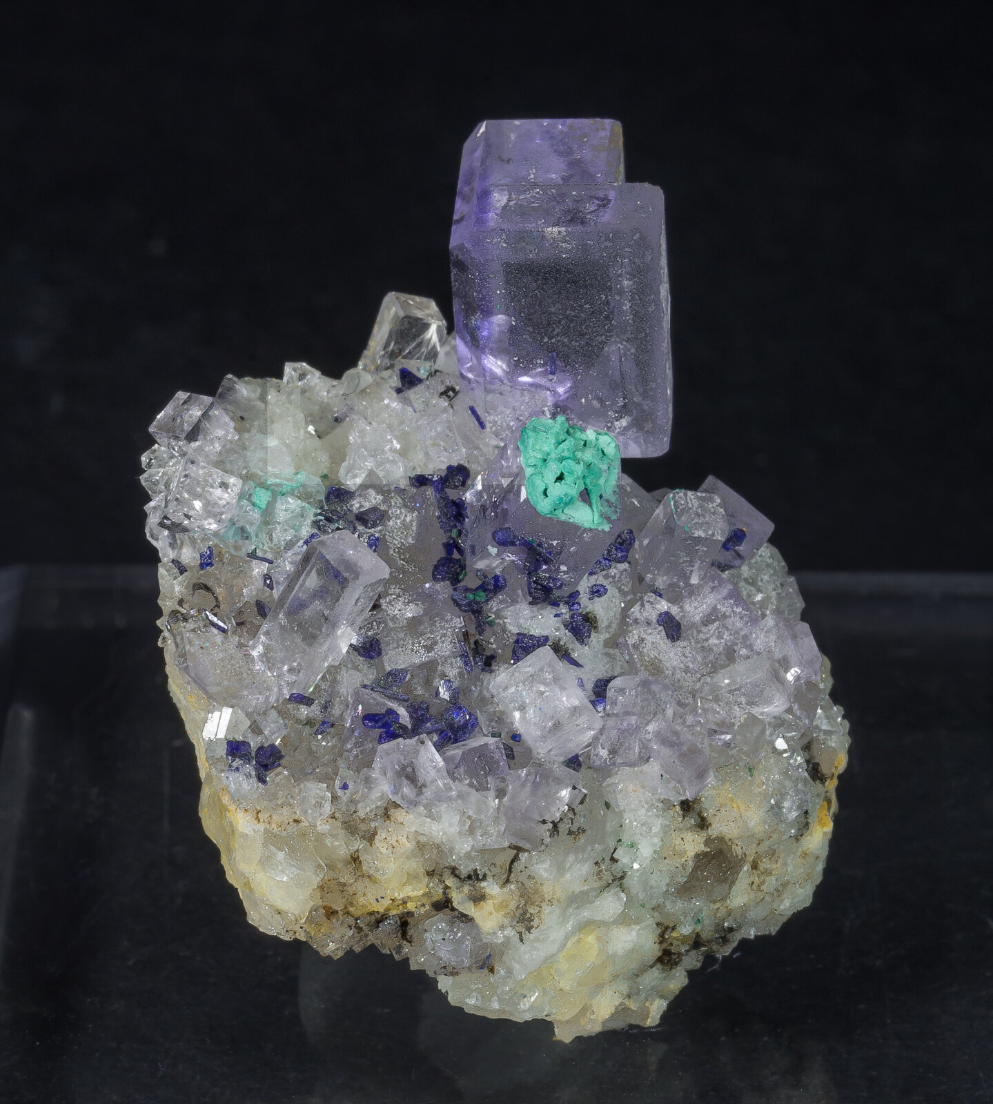 specimens/s_imagesAN8/Fluorite-JFD45AN8f.jpg