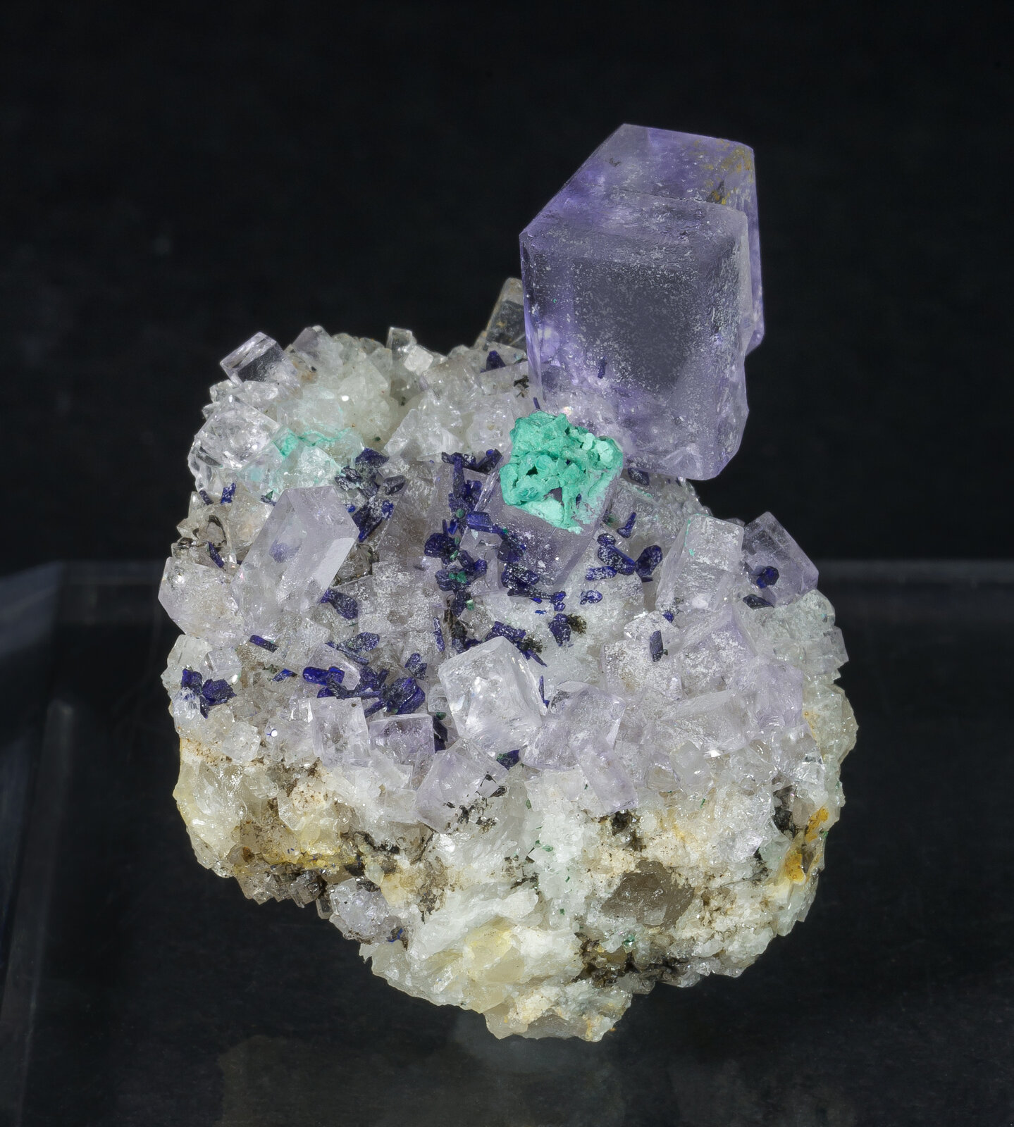 specimens/s_imagesAN8/Fluorite-JFD45AN8s.jpg