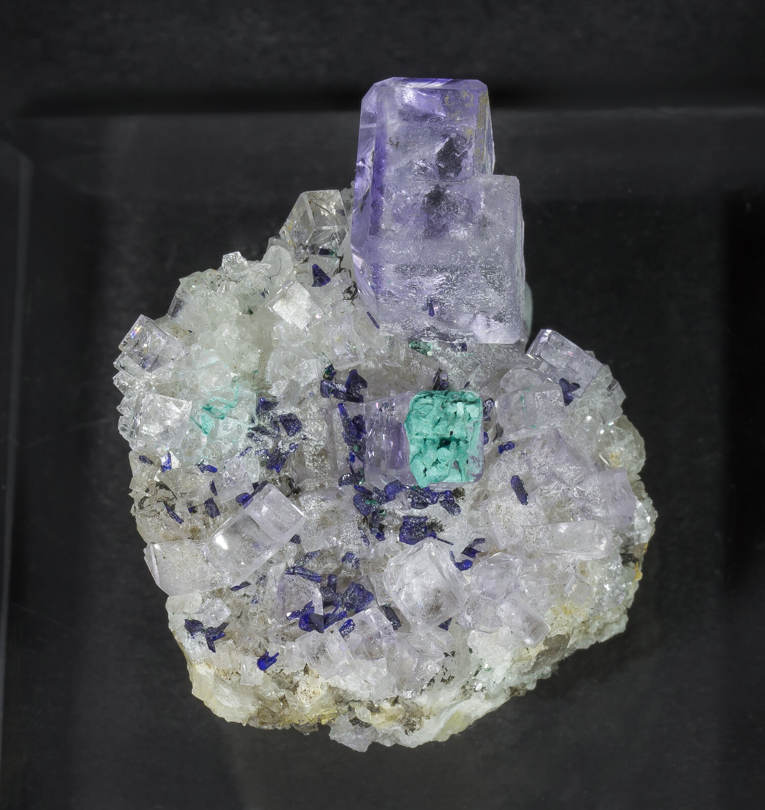 specimens/s_imagesAN8/Fluorite-JFD45AN8t.jpg