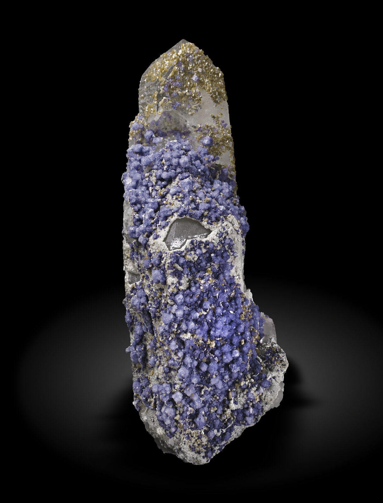 specimens/s_imagesAN8/Fluorite-NBA26AN8_2126_f.jpg