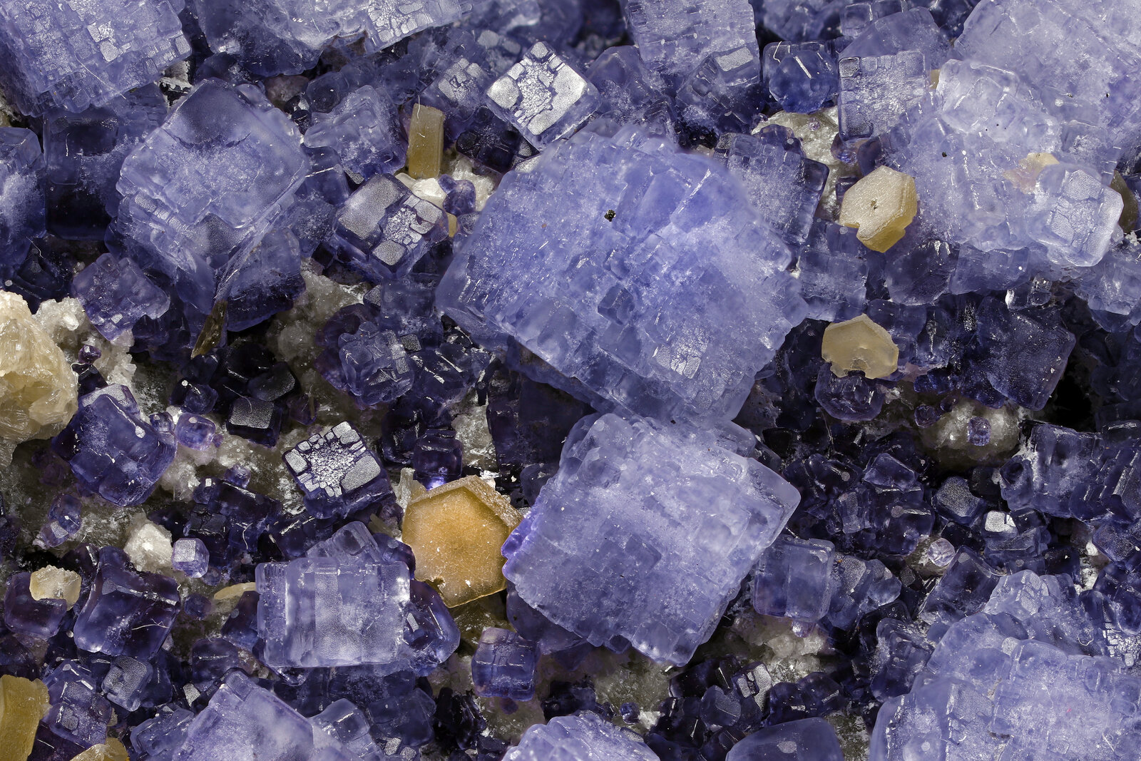 specimens/s_imagesAN8/Fluorite-NBA26AN8_2143_d.jpg