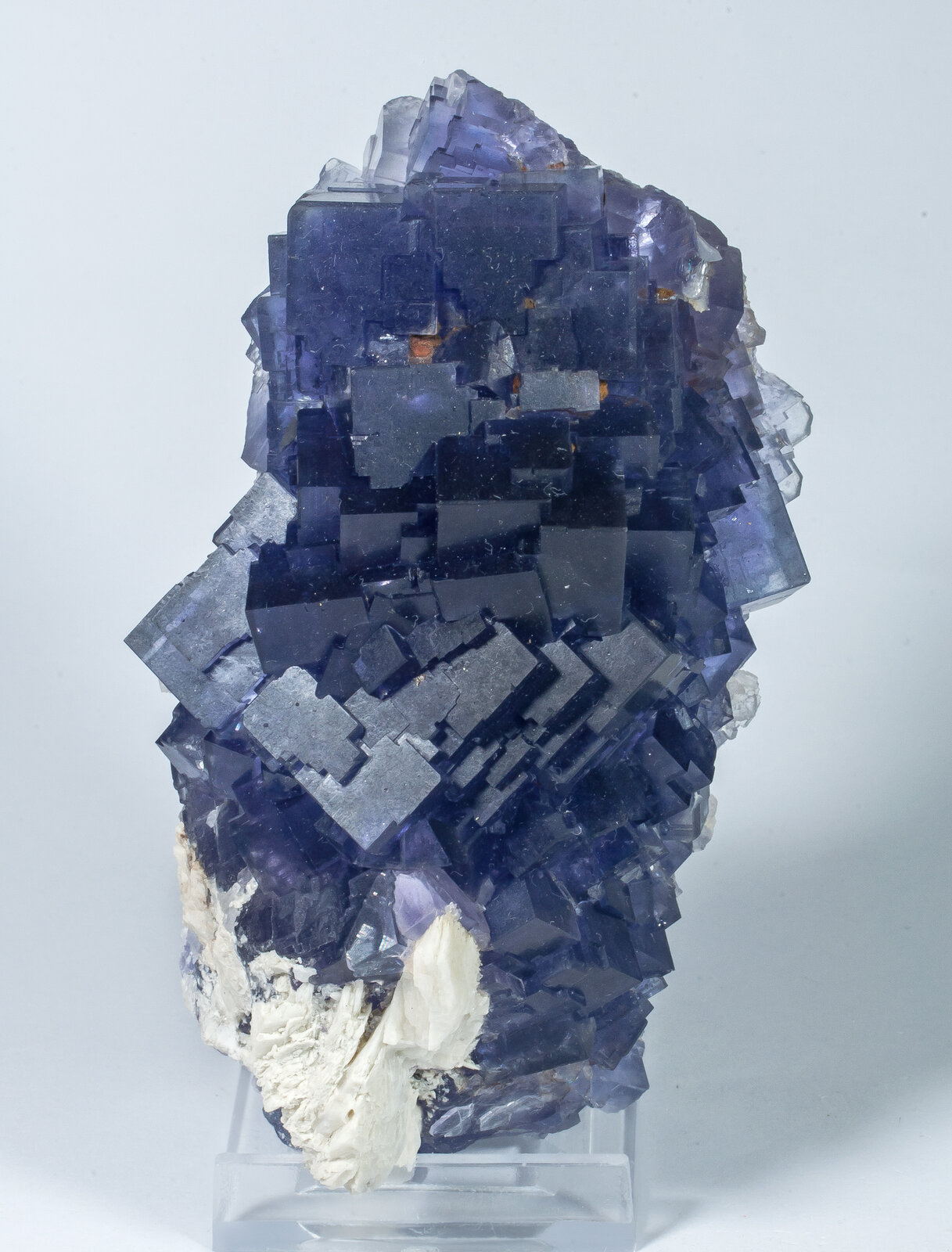 specimens/s_imagesAN8/Fluorite-NFT89AN8f1.jpg