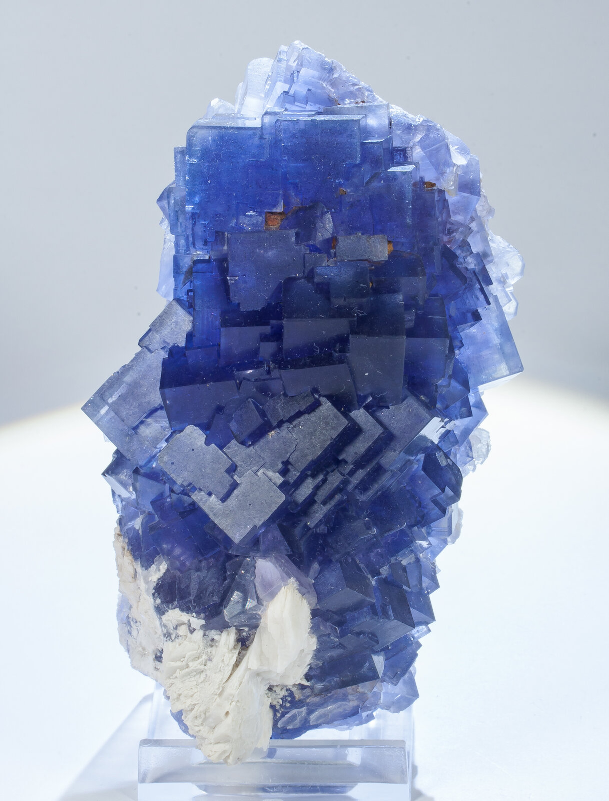 specimens/s_imagesAN8/Fluorite-NFT89AN8f2.jpg