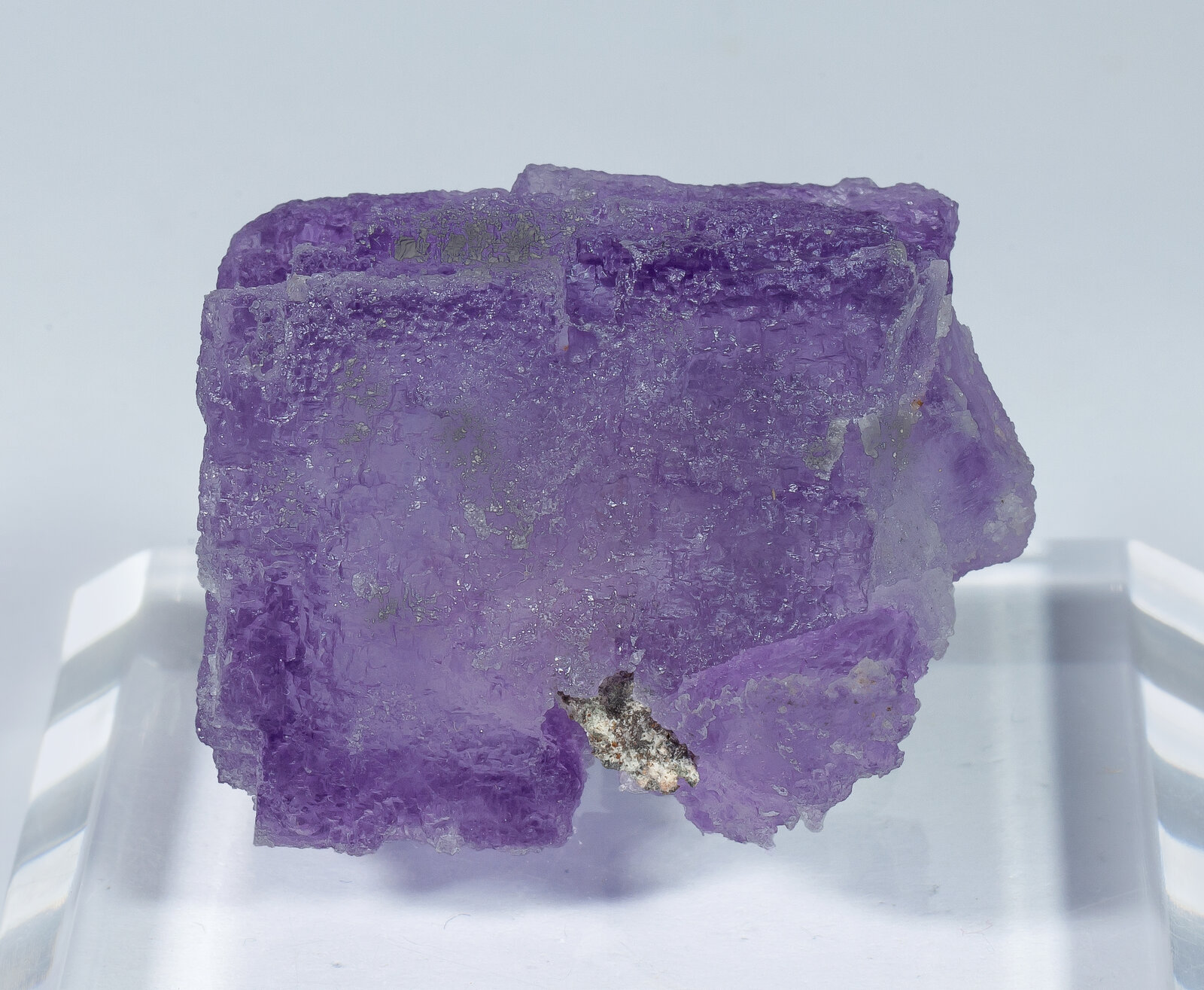 specimens/s_imagesAN8/Fluorite-NPQ13AN8f.jpg