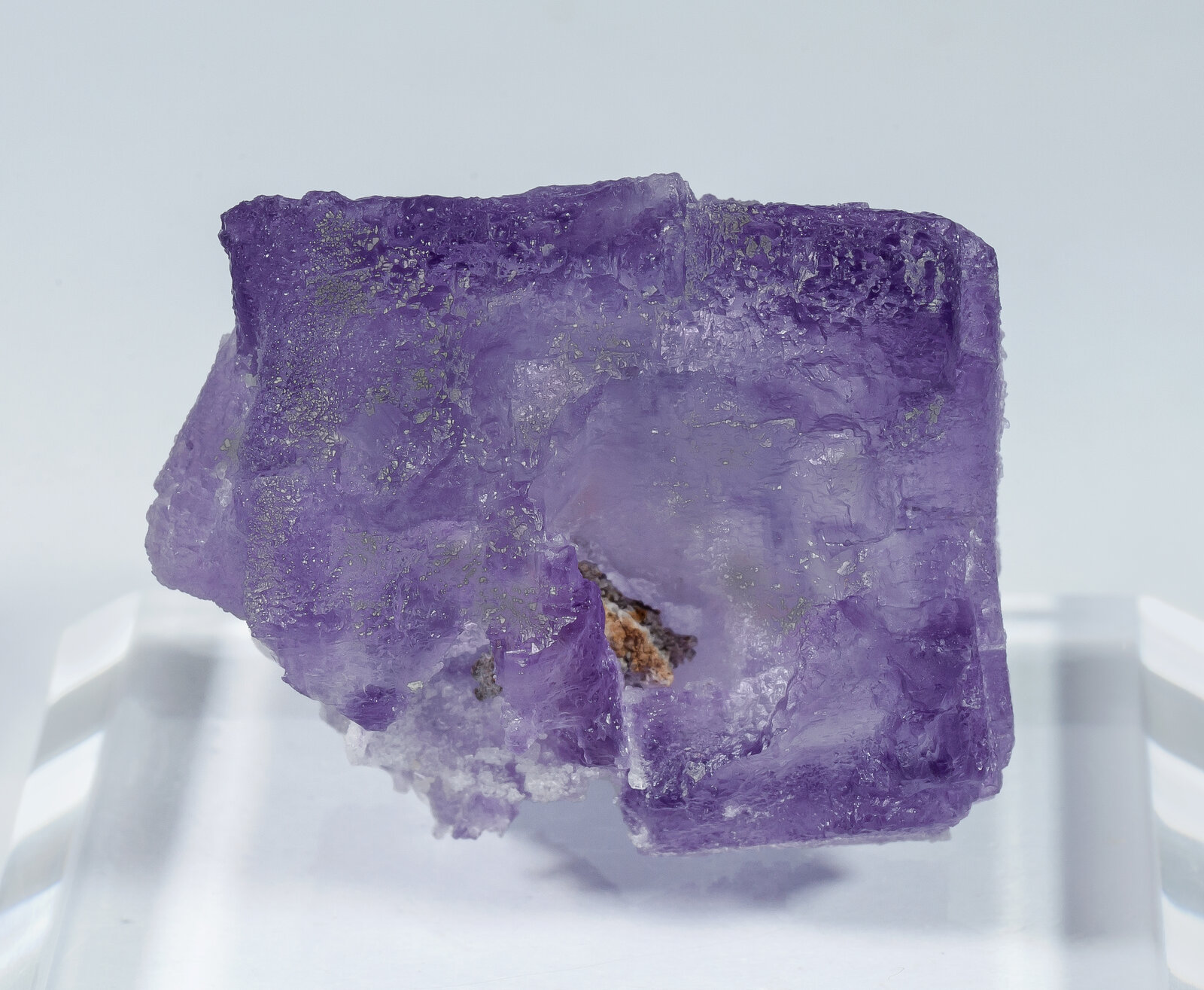 specimens/s_imagesAN8/Fluorite-NPQ13AN8r.jpg