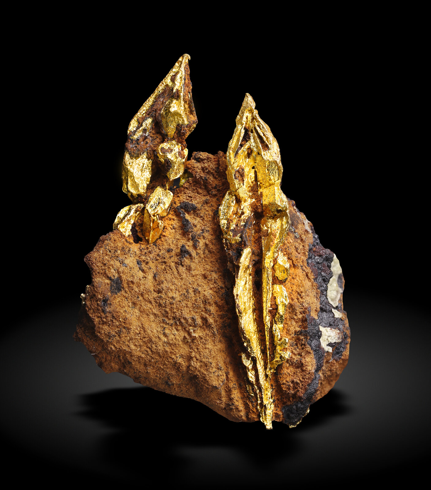 specimens/s_imagesAN8/Gold-EFA91AN8_0265_f.jpg