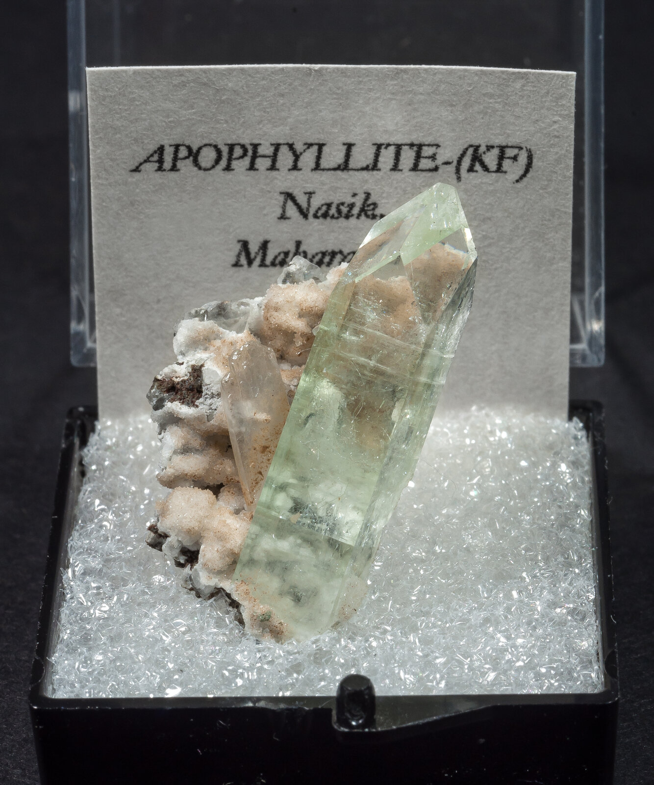specimens/s_imagesAN8/Hidroxiapophyllite-K-TBL11AN8f1.jpg
