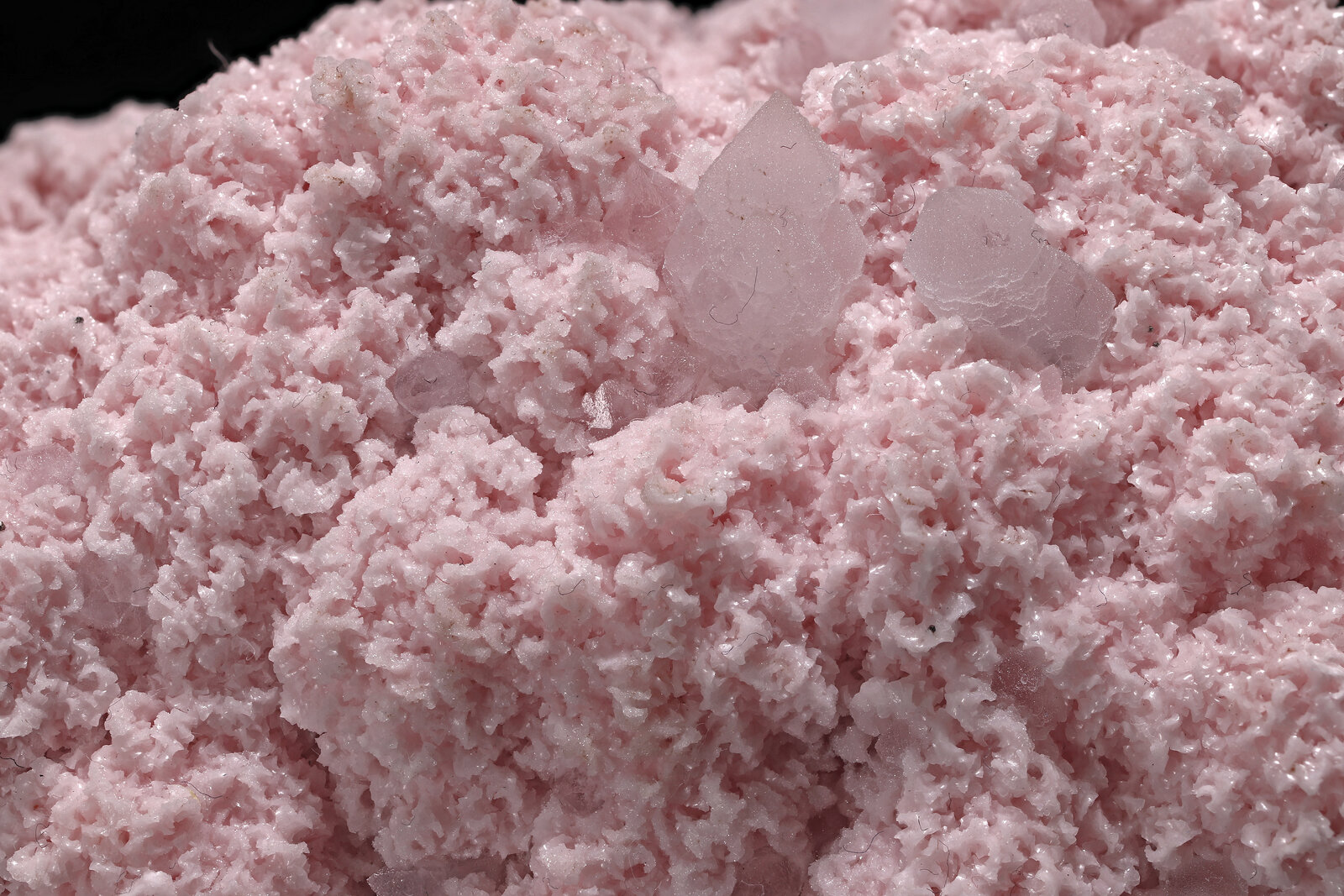 specimens/s_imagesAN8/Rhodochrosite-EAP47AN8_2313_d.jpg